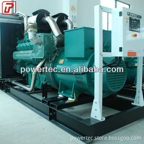 Stable and Reliable Chinese Engine Generator